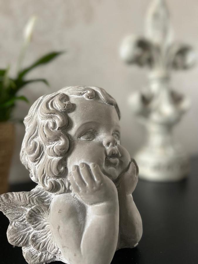 Bed and Breakfast Domaine Des Anges Avesnes-sur-Helpe Екстер'єр фото